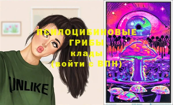 шишки Баксан