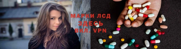 тгк Новодвинск