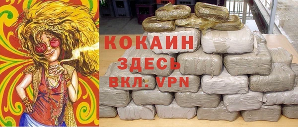 шишки Баксан