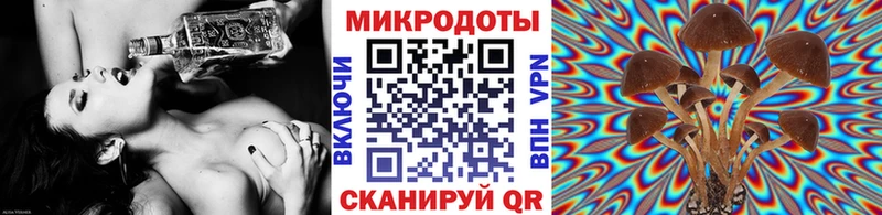Псилоцибиновые грибы MAGIC MUSHROOMS  где купить наркоту  Покровск 